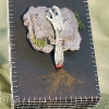 Assemblage